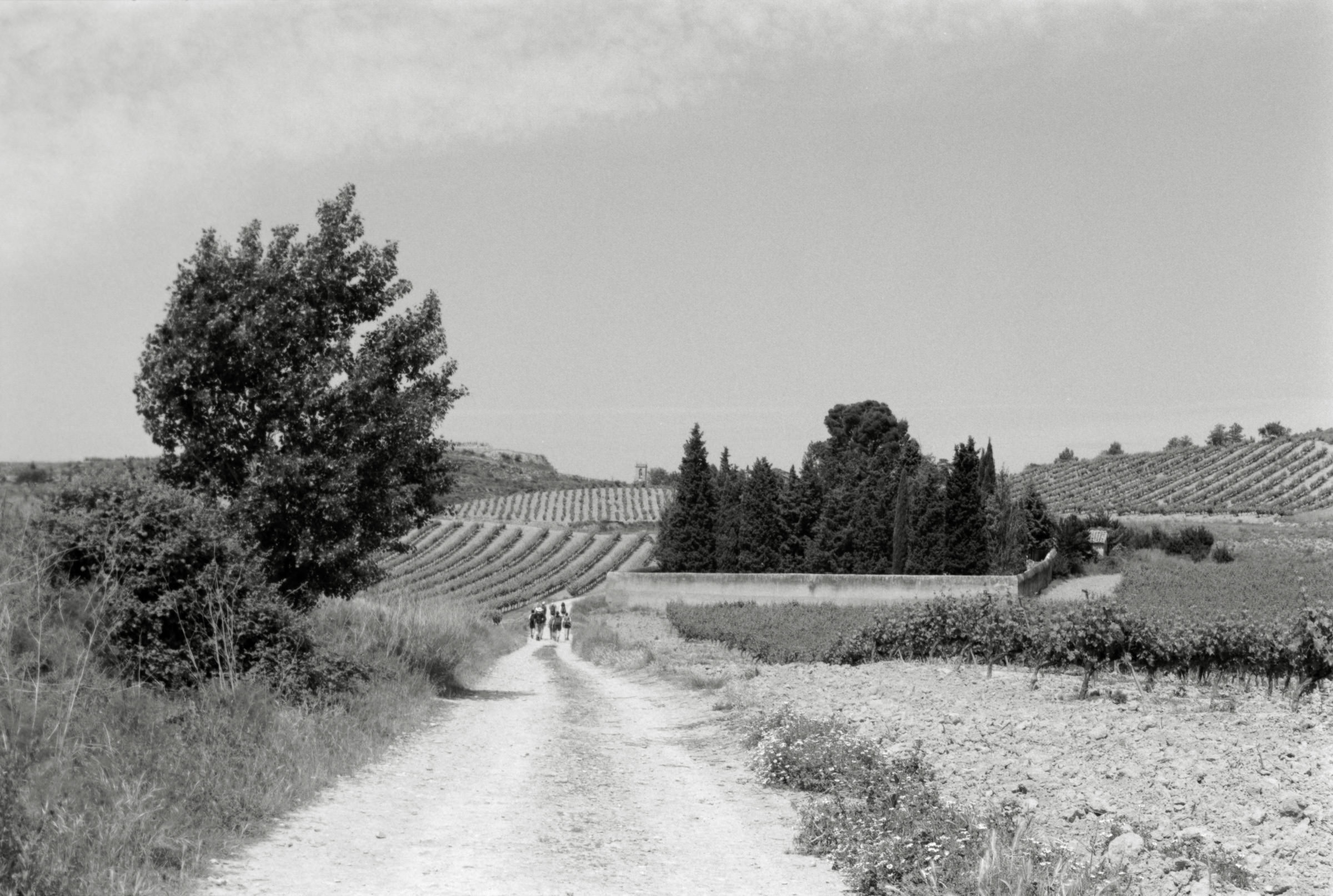 AHP F1995 05 006 sc240818 img18 NLP